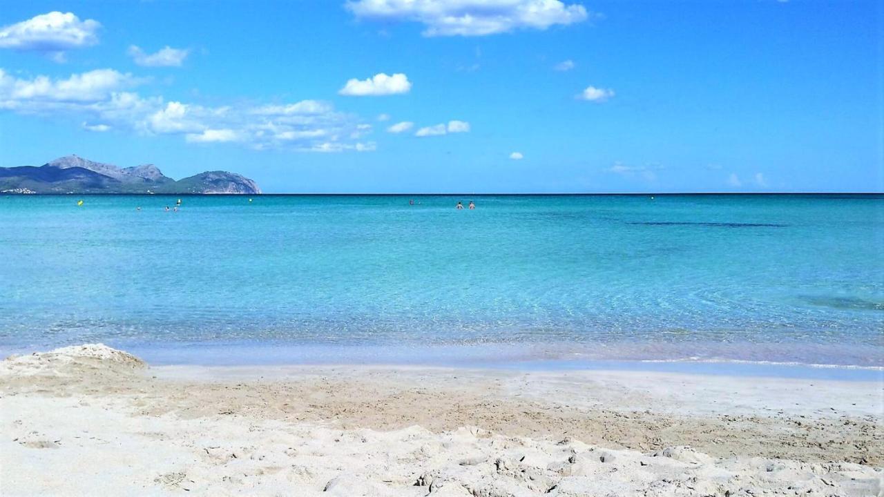 159 Casa Alba Etv9785 By Mallorca Charme カン・ピカフォルト エクステリア 写真